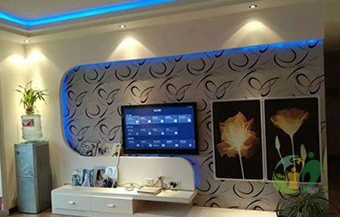 cgal_pic5.jpg